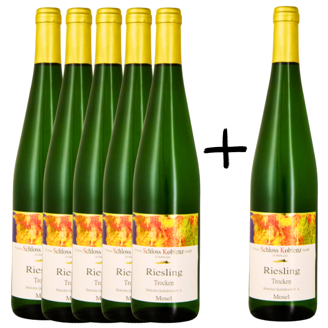 Mosel Riesling Schloss Koblenz Trocken 5 + 1