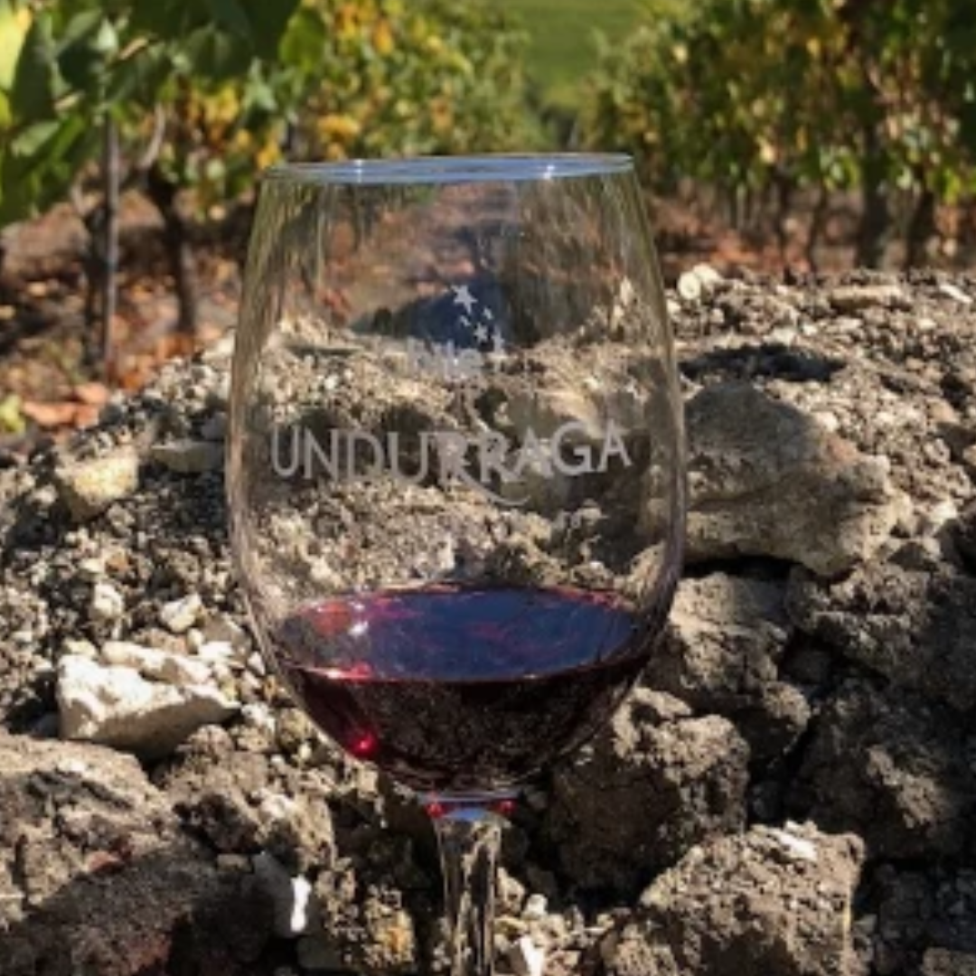 Viña Undurraga Founders Collection Carménere
