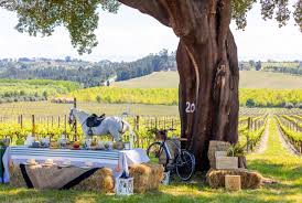 Dão DOC Casa de Santar Tinto Single Estate