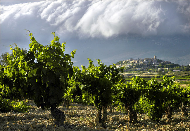 Rioja Viňa Mantibre Crianza