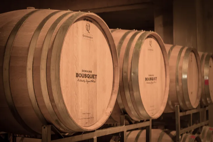 Domaine Jean Bousquet Cameleon Malbec Signature Tupungato