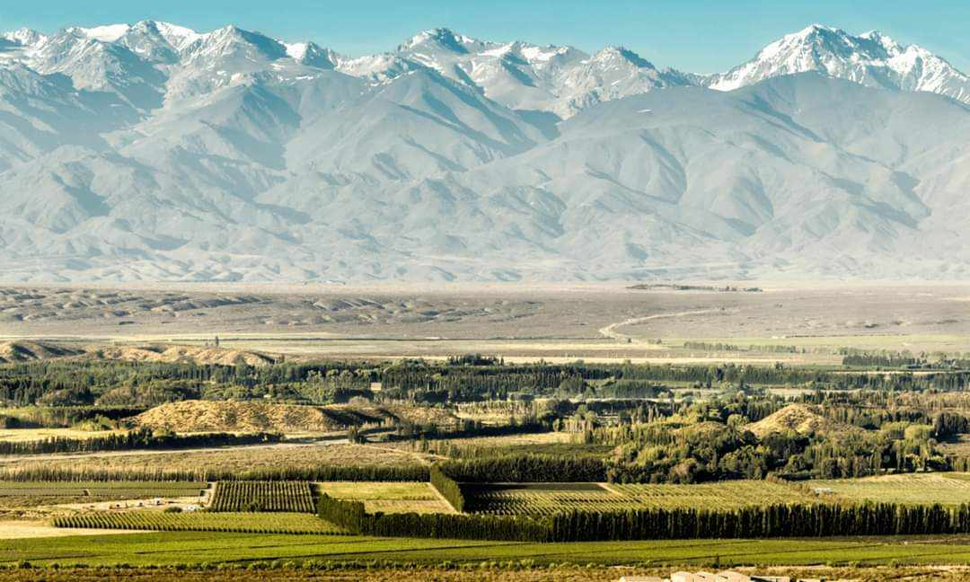 Domaine Jean Bousquet Cameleon Malbec Tupungato