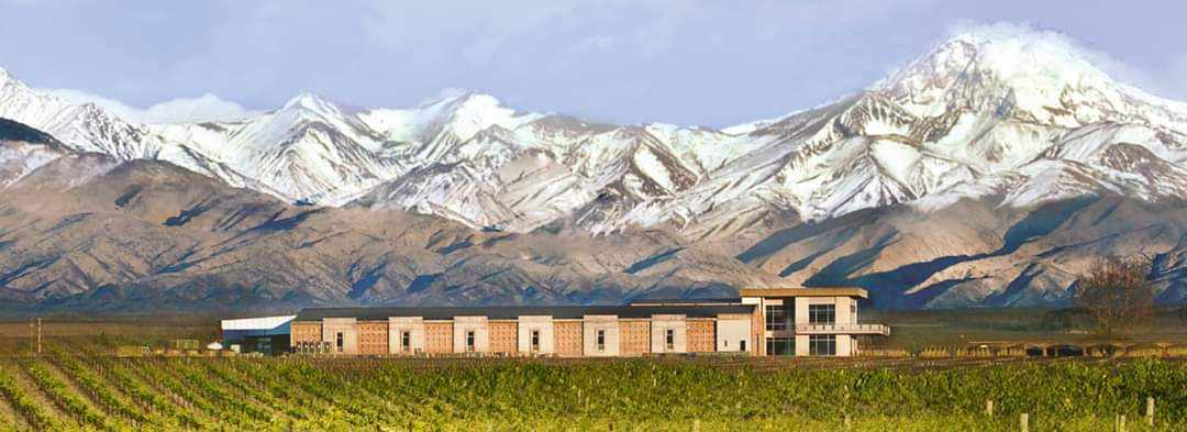 Domaine Jean Bousquet Cameleon Malbec Tupungato 5 + 1