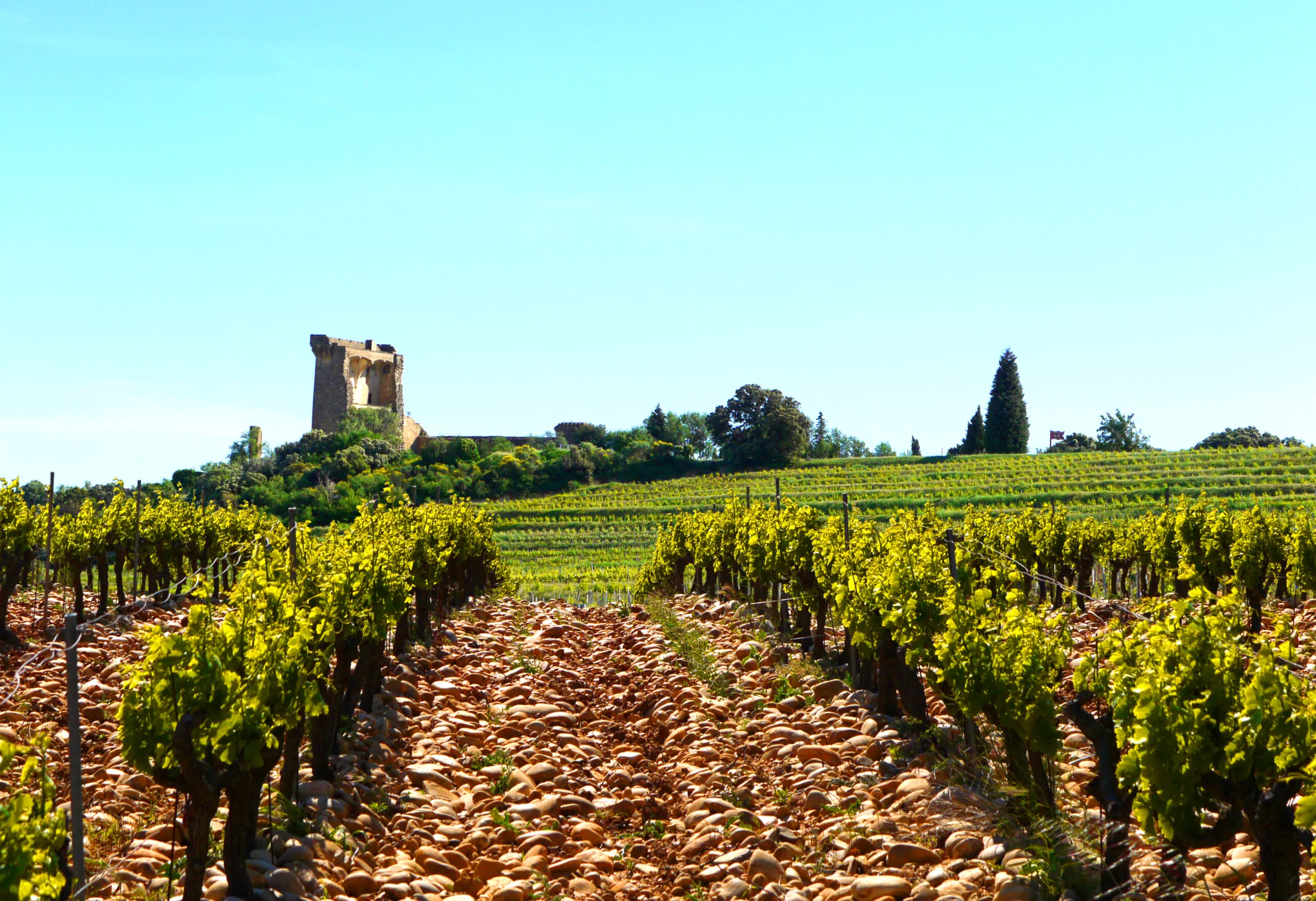 Costiéres de Nimes A.O.C. Blanc Château des Sources "Cuvée S"
