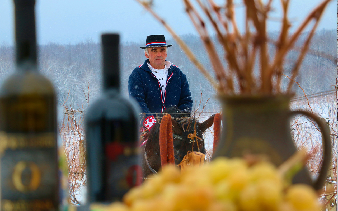 DEGUSTAČNÍ BALÍČEK - VÍNA Z JADRANU