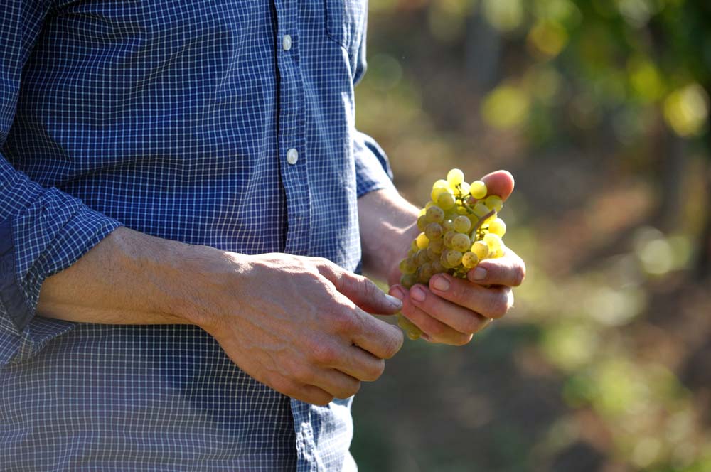 Pfalz Rudi Rüttger Chardonnay Trocken Neuleininger Feuermännchen