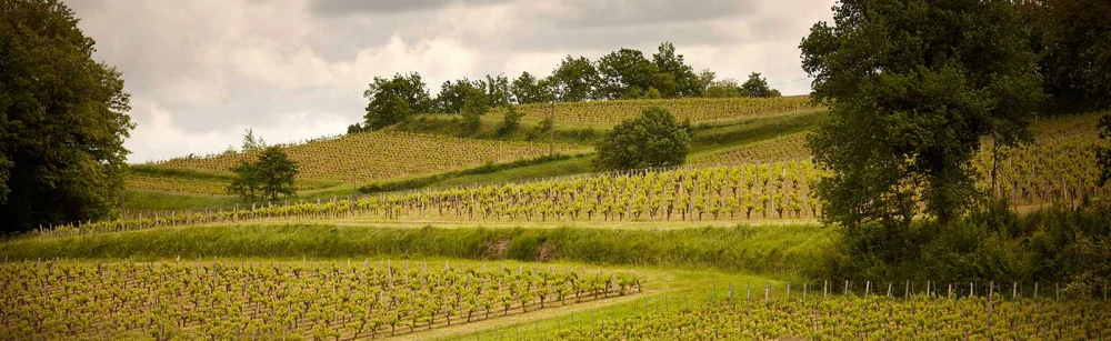 Bordeaux Rosé A.O.C. Cellier Yvecourt