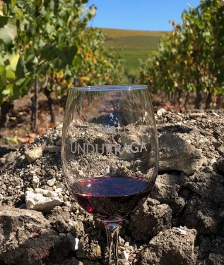Viňa Undurraga Founders Collection Cabernet Sauvignon