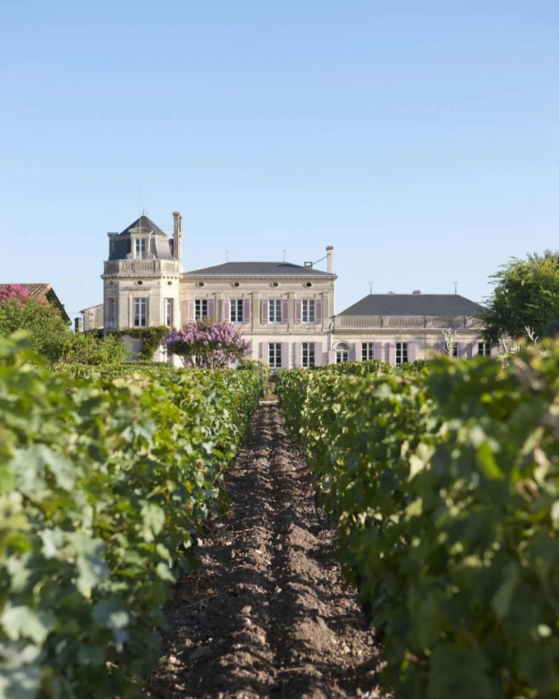 Moulis A.O.C. Chateau Chasse-Spleen Cru Bourgeois