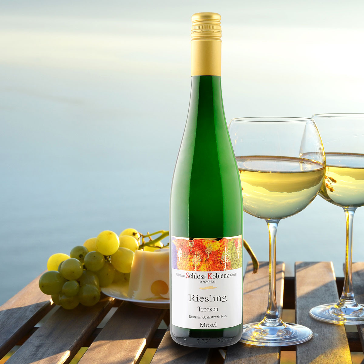 Mosel Riesling Schloss Koblenz Trocken - suché