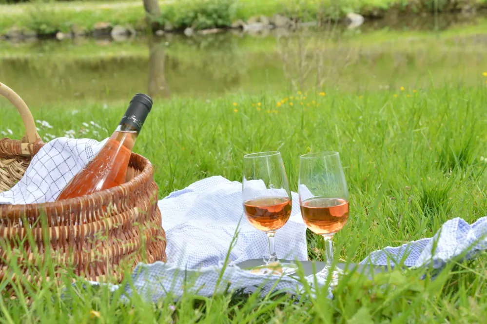 Cabernet d'Anjou A.O.C. Rosé Domaine de la Seigneurie des Tourelles Verdier