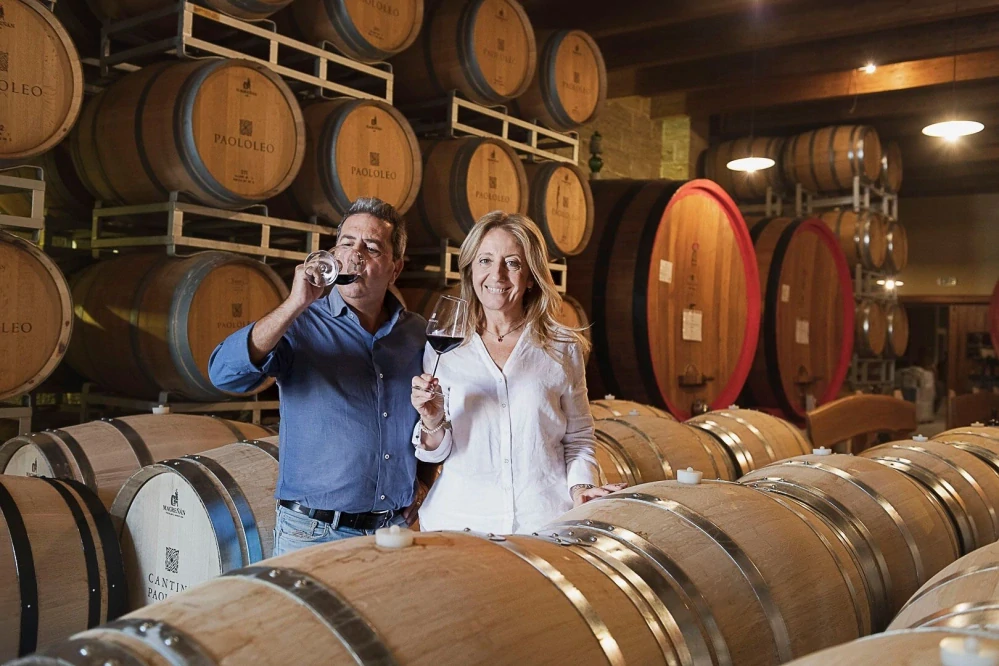 Primitivo Puglia I.G.T. Biologico Organico Passitivo Paololeo