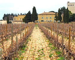 Côtes du Rhône Villages A.O.C. Rouge Les Combelles