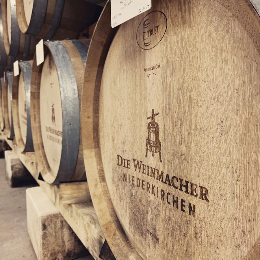 Pfalz Die Weinmacher Blue Fish Riesling Organic Dry
