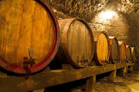 Haut Médoc A.O.P. Château Le Sayuquier