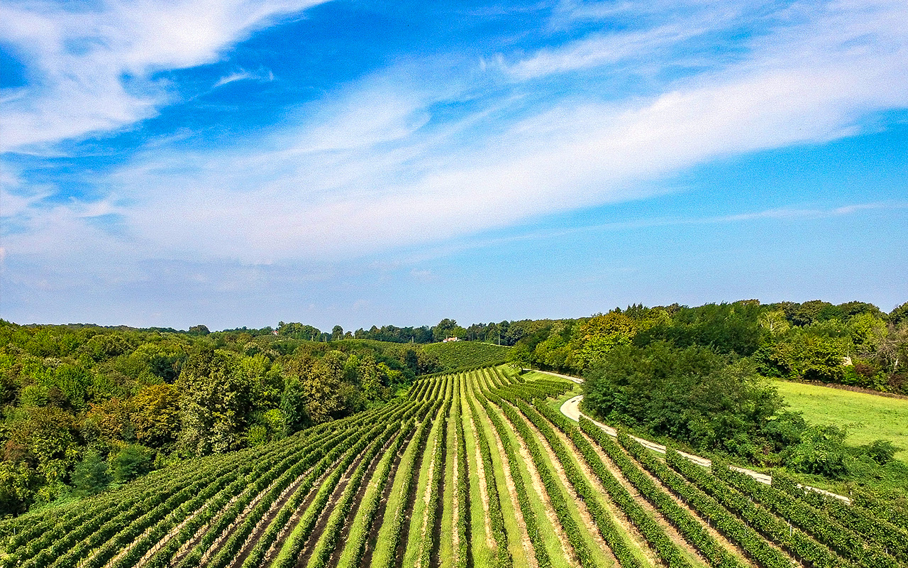 Frankovka PP Orahovica 1l