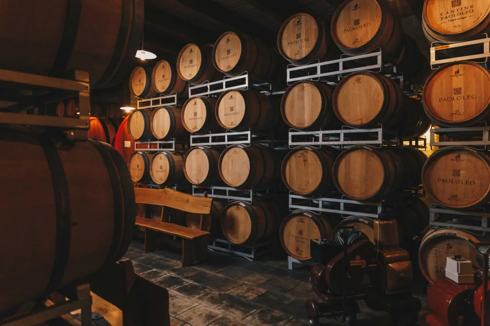 Primitivo di Manduria D.O.P. Passo del Cardinale Paololeo 3 l + Gift box