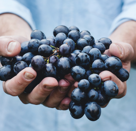 Médoc A.O.C. Château Béjac Romelys Cru Artisan