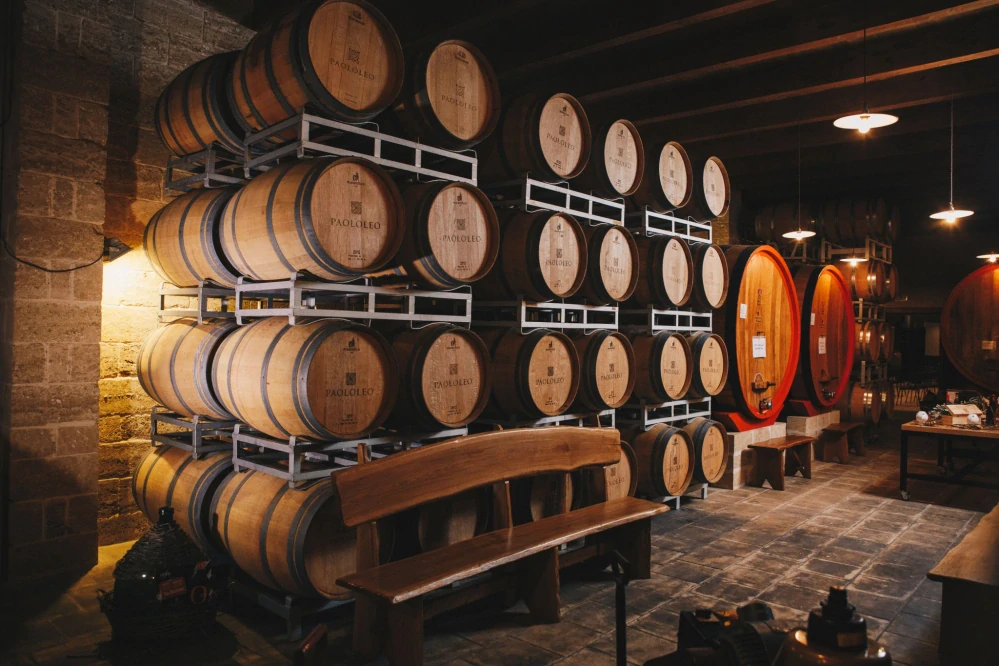 Primitivo di Manduria D.O.P. 1,5L Passo del Cardinale Paololeo + Gift box