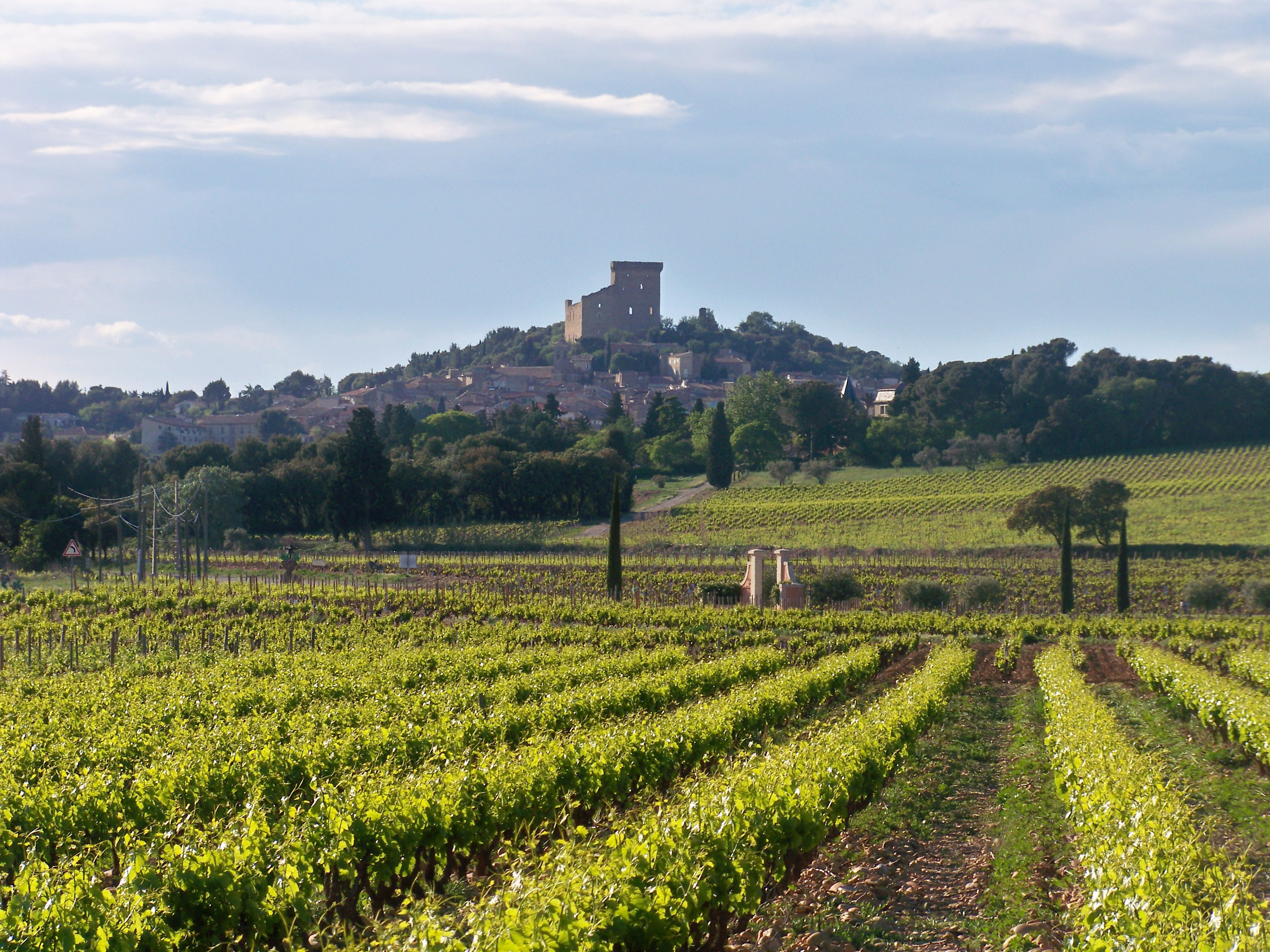 Côtes du Rhône Villages Rasteau A.O.C. Rouge Domaine de Saint-Alimans