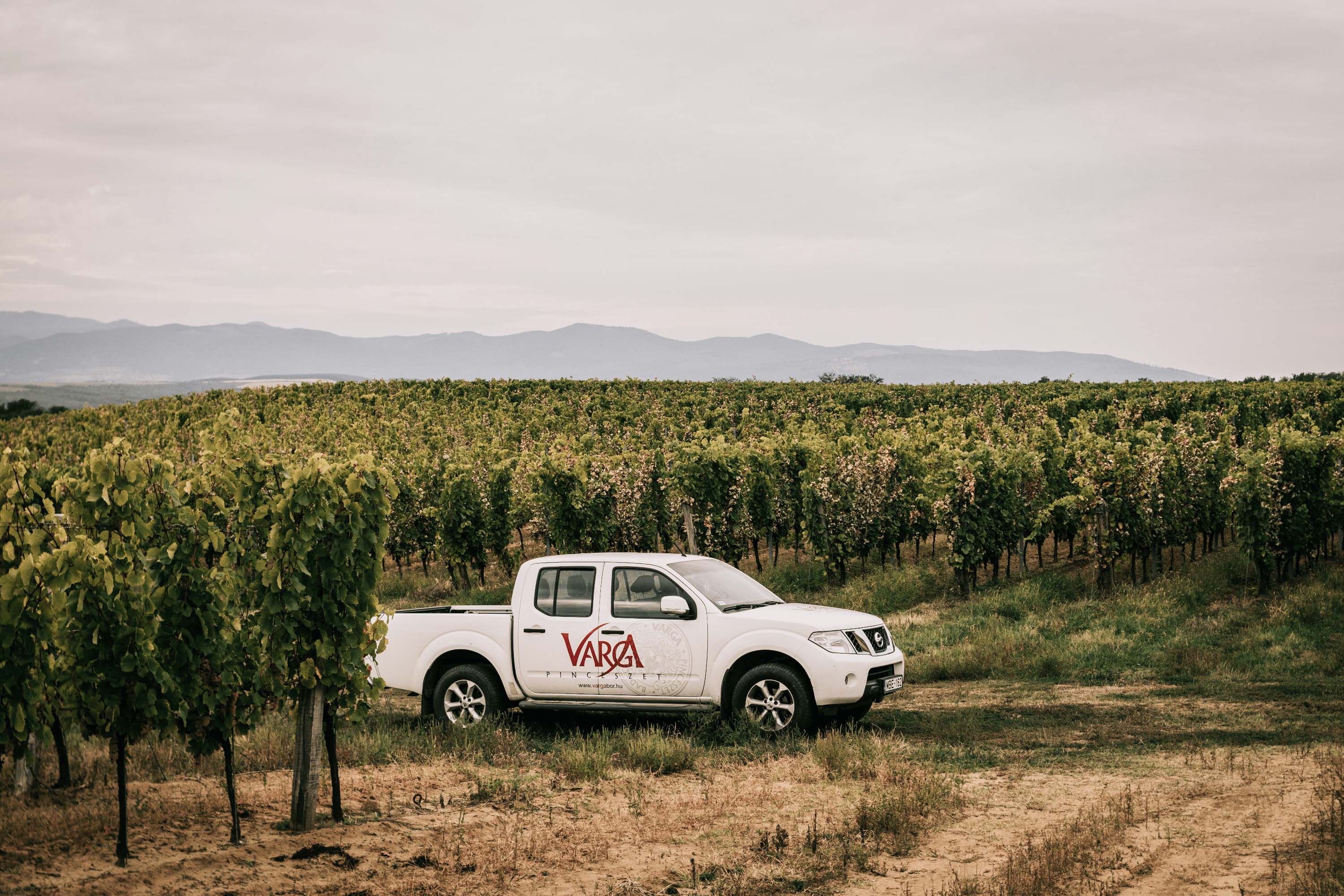 Chardonnay Balaton Melléki Varga