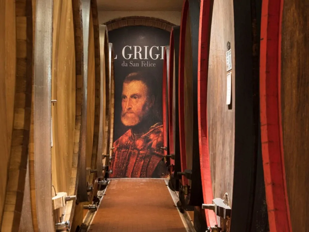 Chianti Classico D.O.C.G. Riserva Il Grigio Gran Selezione San Felice