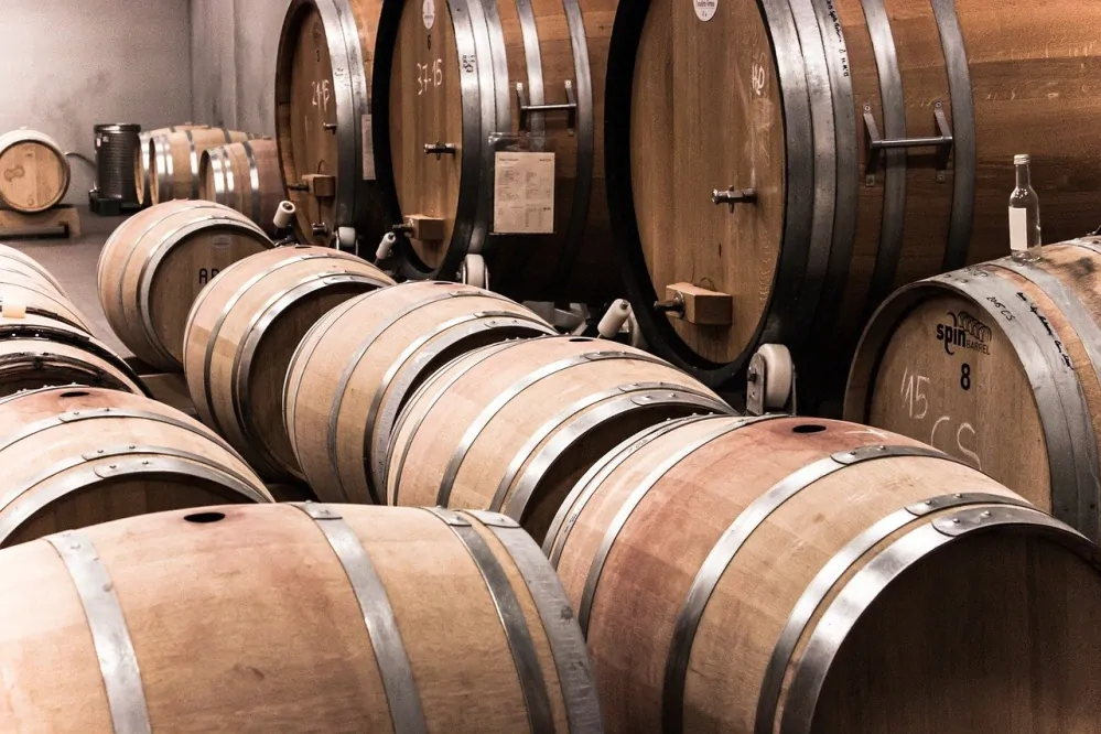 Primitivo Salento IGT Masserie Centoze Cantore di Castelforte