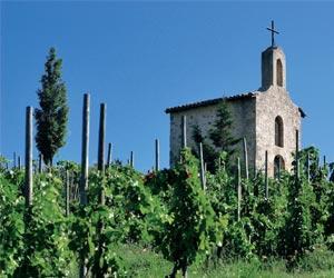 Châteauneuf du Pape A.O.C. Rouge Les Granges des Papes
