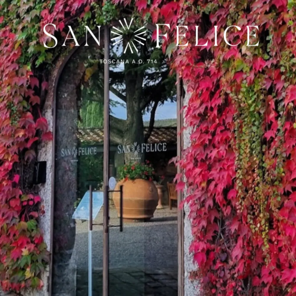 San Felice Brunello Di Montalcino DOCG Campogiovanni