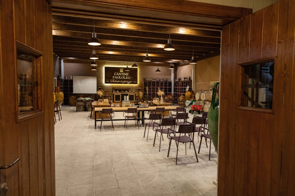 Primitivo Puglia I.G.T. Biologico Organico Passitivo Paololeo