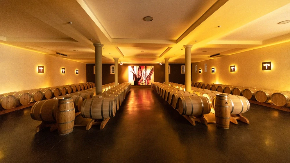 Côtes du Rhône A.O.C. Rouge Les Combelles