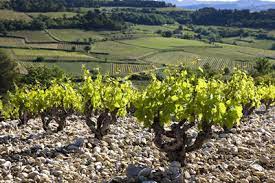 Côtes du Rhône Villages A.O.C. Rouge Les Combelles