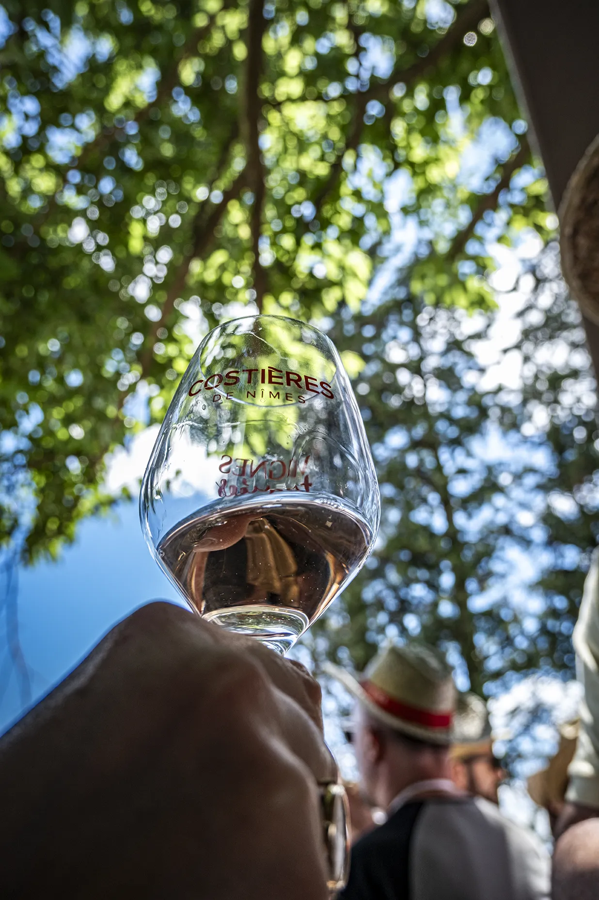 Costiéres de Nimes A.O.C. Blanc Château des Sources "Cuvée S"