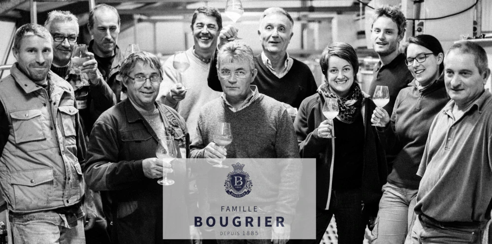 Anjou Blanc A.O.P. Collection Bougrier Grands Vins De Loire