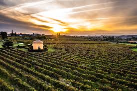 Dão DOC Casa de Santar Tinto Single Estate