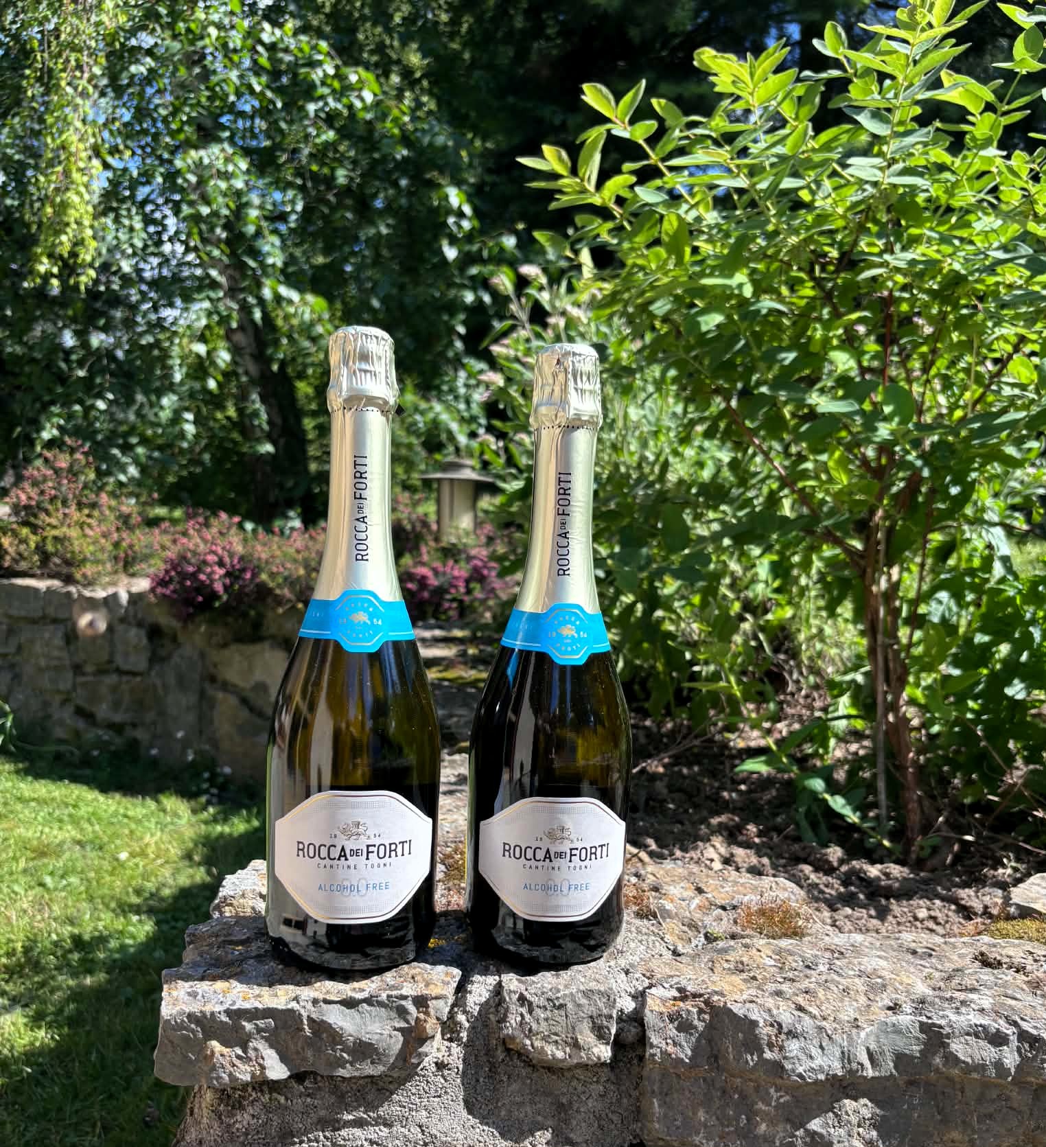 Rocca Dei Forti Alcohol Free 5+1