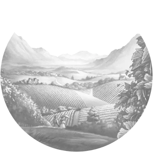 Pacherenc du Vic-Bilh A.O.C. Grains De Roy