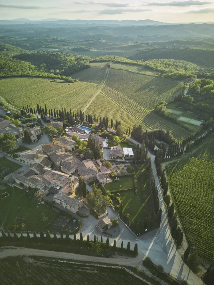 Chianti Classico D.O.C.G. Riserva Il Grigio Gran Selezione San Felice