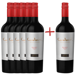 Domaine Jean Bousquet Cameleon Malbec Tupungato 5 + 1 